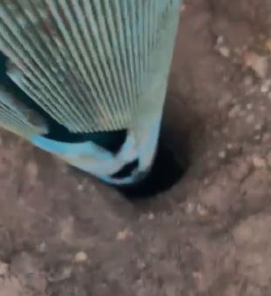 Atualização da situação de Abastecimento de Água no Bairro Paraíso